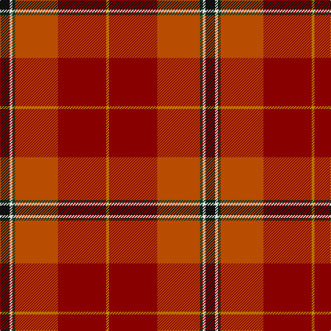 DY/4 DR70 DO62 DG4 LN4 K/14 tartan Tartan detail