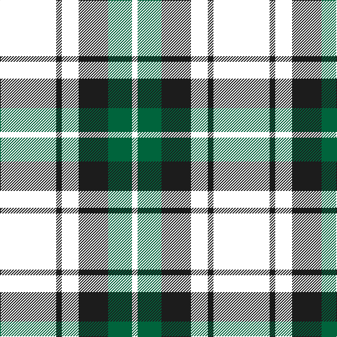 B/80 K8 B24 K42 G34 W/8 tartan Tartan detail