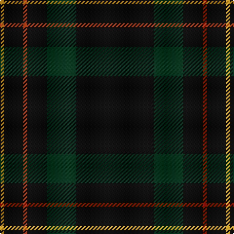 DY/4 K20 R4 K20 DG30 K/80 tartan Tartan detail
