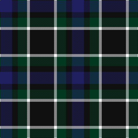 DB/42 K10 K10 DG32 W10 K/84 tartan Tartan detail