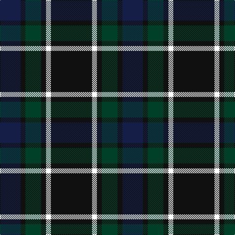DB/42 K10 DG32 K10 W10 K/84 tartan Tartan detail