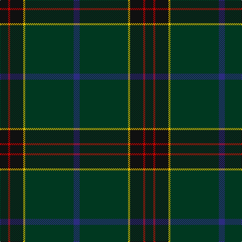 K/16 R4 K26 Y4 DG96 DB/12 tartan Tartan detail