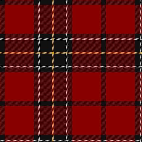 DY/6 K40 N6 K16 DR98 K/16 tartan Tartan detail