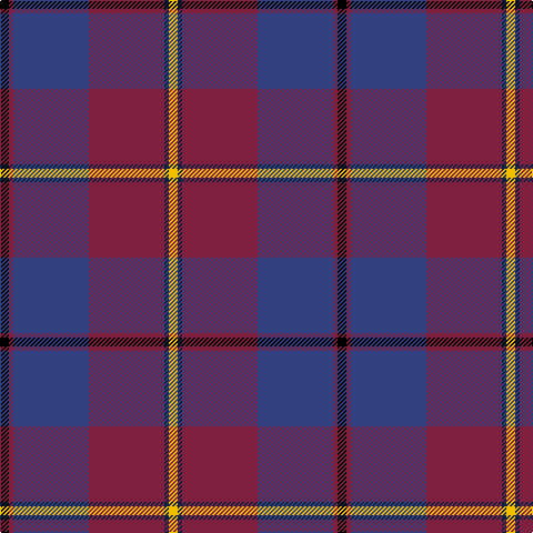 K/8 DR4 B68 DR68 DB4 Y/8 tartan Tartan detail