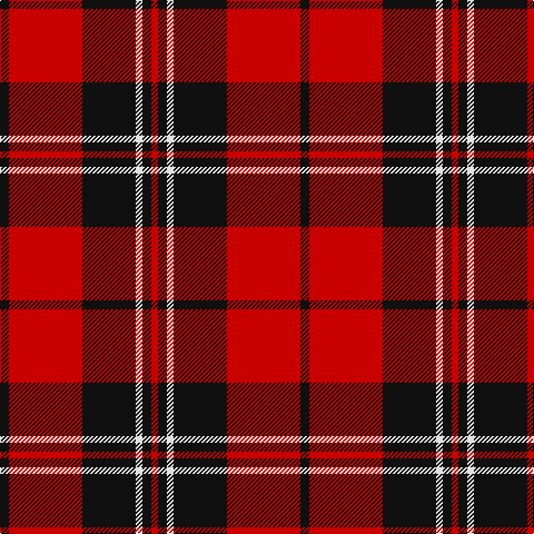 K/8 R66 K48 LN6 K8 R/6 tartan Tartan detail