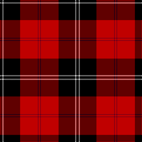 K/8 LN4 K56 R60 DP2 R/6 tartan Tartan detail