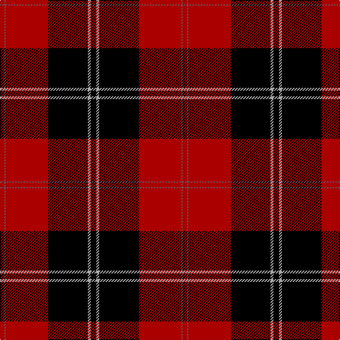 DR/6 N2 DR60 K56 Na4 K/8 tartan Tartan detail
