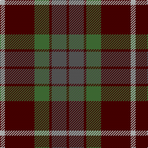 DR/4 Na24 DR4 G24 DR48 N/8 tartan Tartan detail