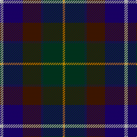 N/6 DB34 DR32 DN4 DG34 DY/4 tartan Tartan detail