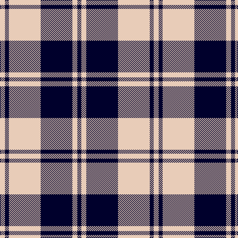 LR/10 DB8 LR64 DB64 LR10 DB/8 tartan Tartan detail