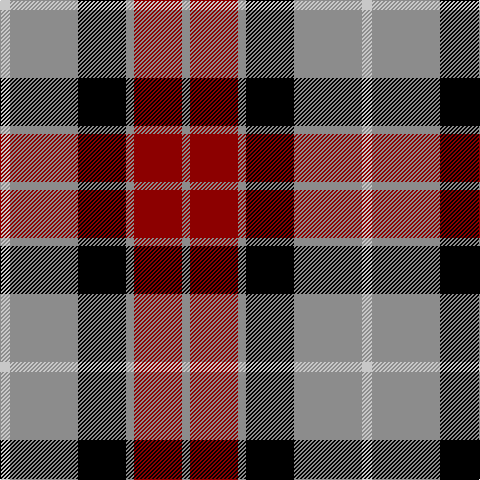 N/8 DR48 N8 K48 N68 Na/10 tartan Tartan detail