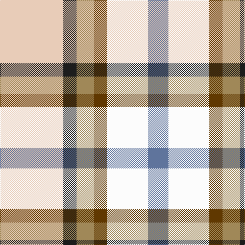B/40 W80 T26 LT34 K26 LR/124 tartan Tartan detail