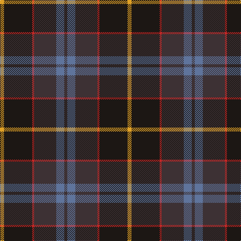 T/6 B16 T44 R4 K56 Y/8 tartan Tartan detail