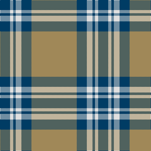 DB/32 LN10 DB8 LN18 DB32 LT/144 tartan Tartan detail