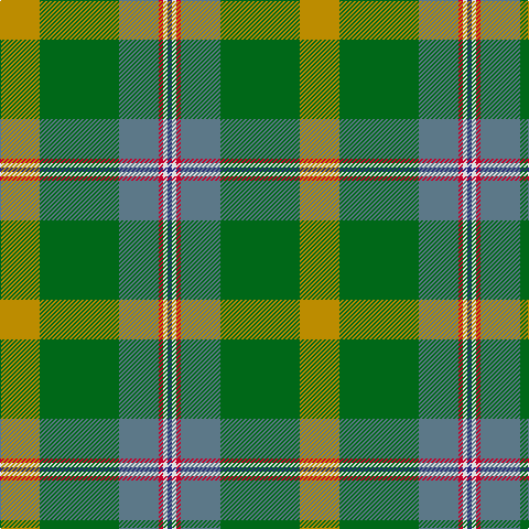 DY/36 G72 B36 R4 LN4 DB/4 tartan Tartan detail