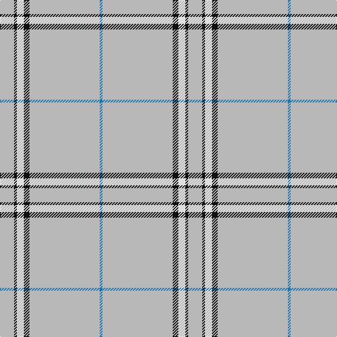 N/20 K4 LN10 K8 N100 B/4 tartan Tartan detail