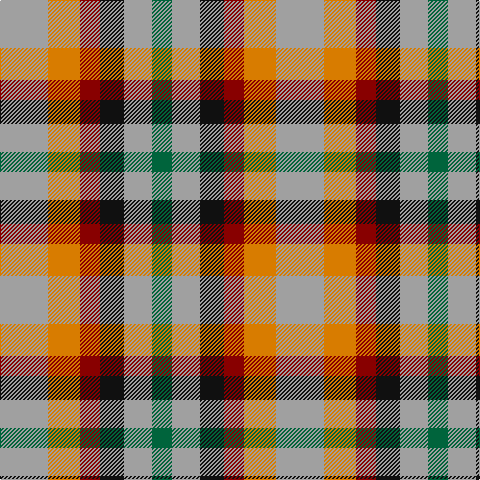 N/48 O32 DR20 K24 N28 G/20 tartan Tartan detail