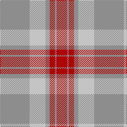 N/56 W30 N8 R10 N3 R/20 tartan Tartan detail