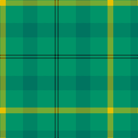 Y/20 B60 G50 B60 K4 B/6 tartan Tartan detail