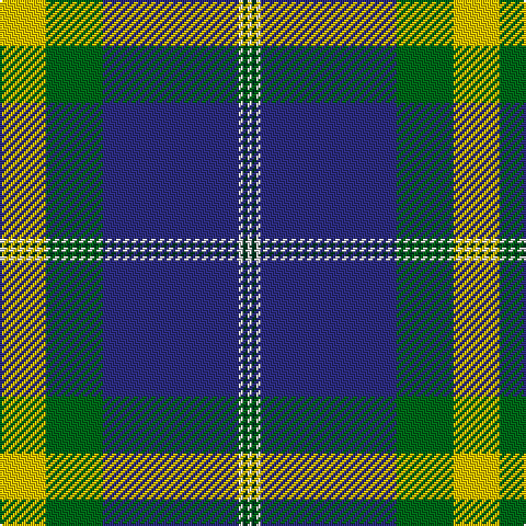 Y/21 G26 DB62 LN2 DG2 LN/2 tartan Tartan detail