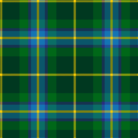 Y/8 B20 DB10 G30 DG60 Y/8 tartan Tartan detail