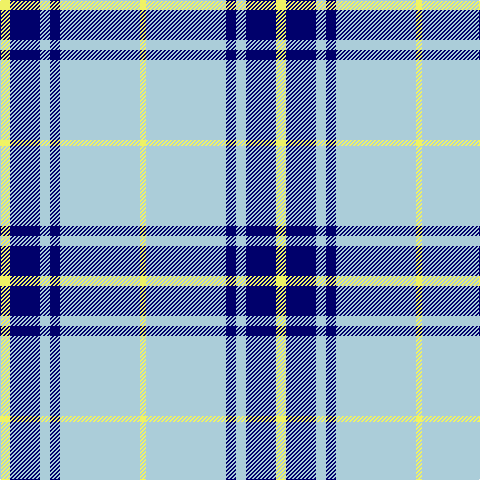 LY/10 DB30 LB10 DB10 LB80 LY/6 tartan Tartan detail