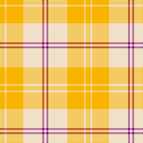 W/8 P6 W64 Y56 W6 Y/16 tartan Tartan detail