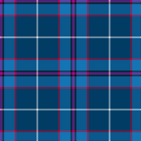 P/8 K6 B36 R6 DB68 LN/6 tartan Tartan detail