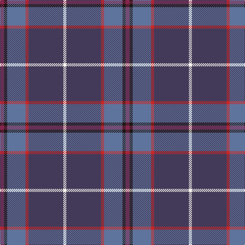 DR/8 K6 B36 R6 N68 W/6 tartan Tartan detail