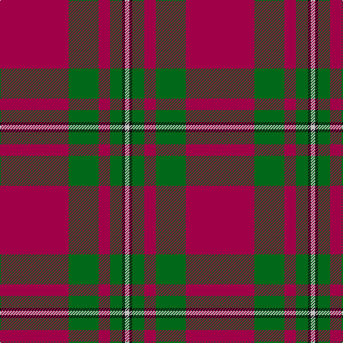 N/6 K4 G17 R16 G42 R/96 tartan Tartan detail