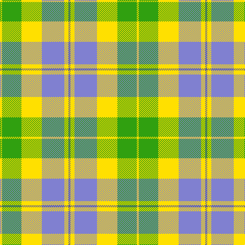 Y/4 G38 Y40 B44 Y8 Ba/4 tartan Tartan detail