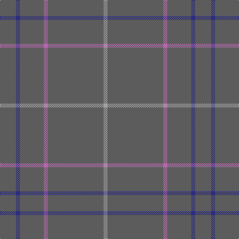 N/8 Na112 P8 Na48 DB8 Na/32 tartan Tartan detail