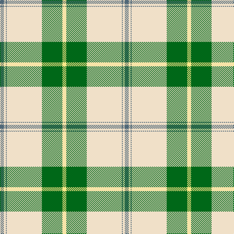 N/8 W4 N2 W72 G42 LY/8 tartan Tartan detail
