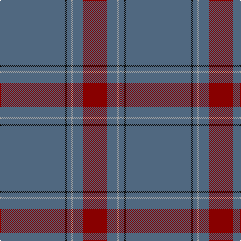 B/130 K4 B8 N4 B20 DR/48 tartan Tartan detail