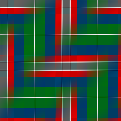 N/28 LN4 R24 DB40 G40 LN/4 tartan Tartan detail