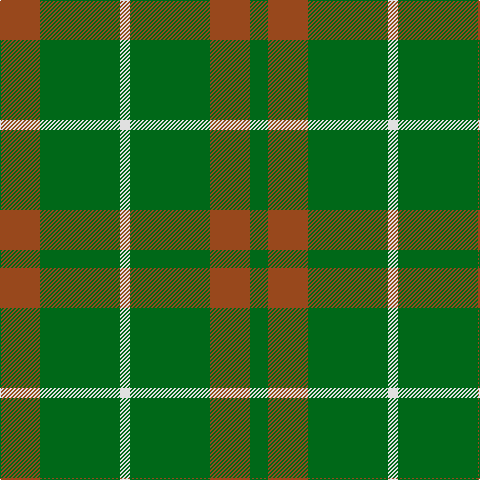 G/18 T40 G80 LN10 G80 T/40 tartan Tartan detail