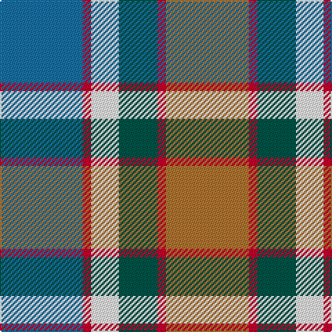B/60 R6 W20 G28 R6 LT/60 tartan Tartan detail