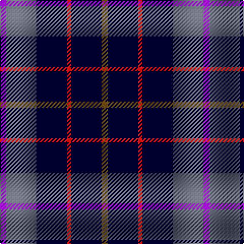 P/6 N30 DB30 R4 DB30 LT/6 tartan Tartan detail