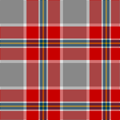 N/94 LN12 R48 LN6 DB10 DY/6 tartan Tartan detail