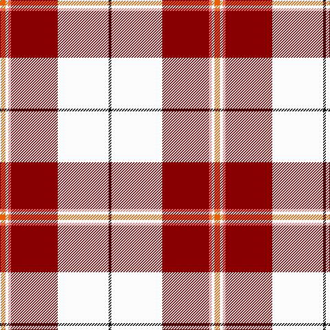 K/4 W74 DR68 LR4 W4 O/8 tartan Tartan detail