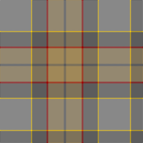 Na/104 Y4 N48 DR6 LT52 N/8 tartan Tartan detail