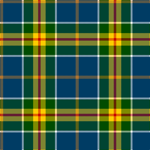 LT/10 DB60 W6 G30 Y16 R/8 tartan Tartan detail