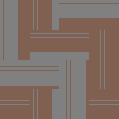 LT/12 N4 LT58 N58 LT4 N/12 tartan Tartan detail