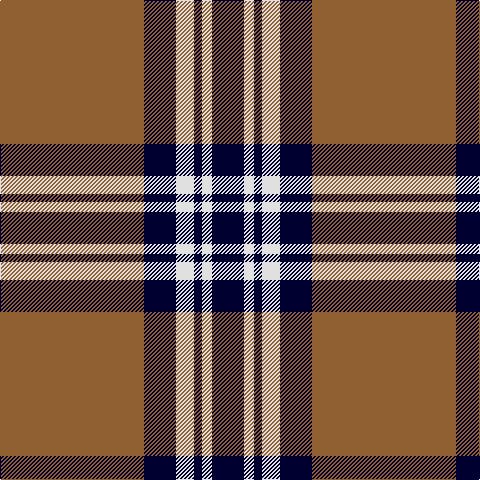 LT/144 DB32 LN18 DB8 LN10 DB/32 tartan Tartan detail