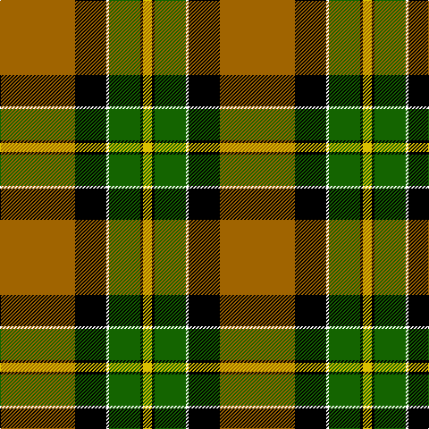 DO/84 K35 W3 G35 K3 Y/10 tartan Tartan detail