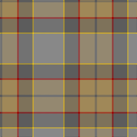 N/8 LT52 DR6 N48 Y4 Na/104 tartan Tartan detail