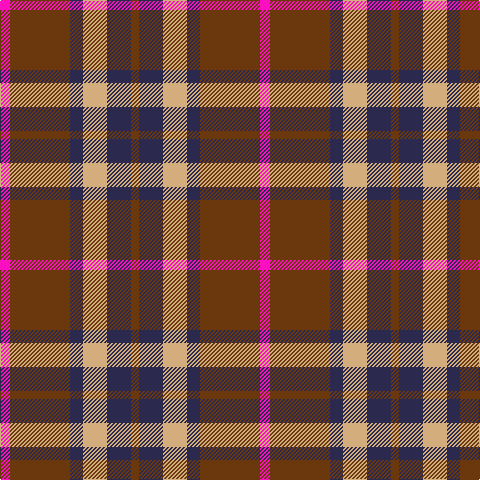 LR/10 T60 DB13 LG24 DB24 T/8 tartan Tartan detail