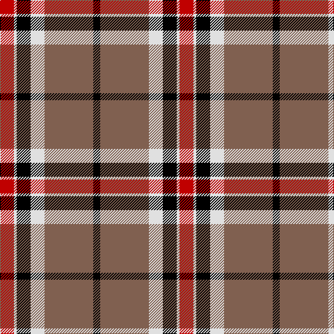 R/20 LN4 K20 LN20 LT70 K/10 tartan Tartan detail