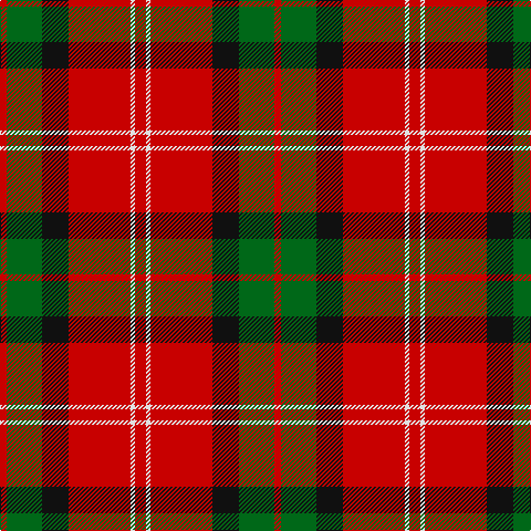 R/6 G32 K24 R56 LN4 R/10 tartan Tartan detail