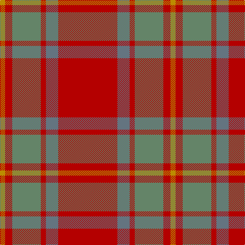 DY/10 R14 N56 R10 B24 R/116 tartan Tartan detail